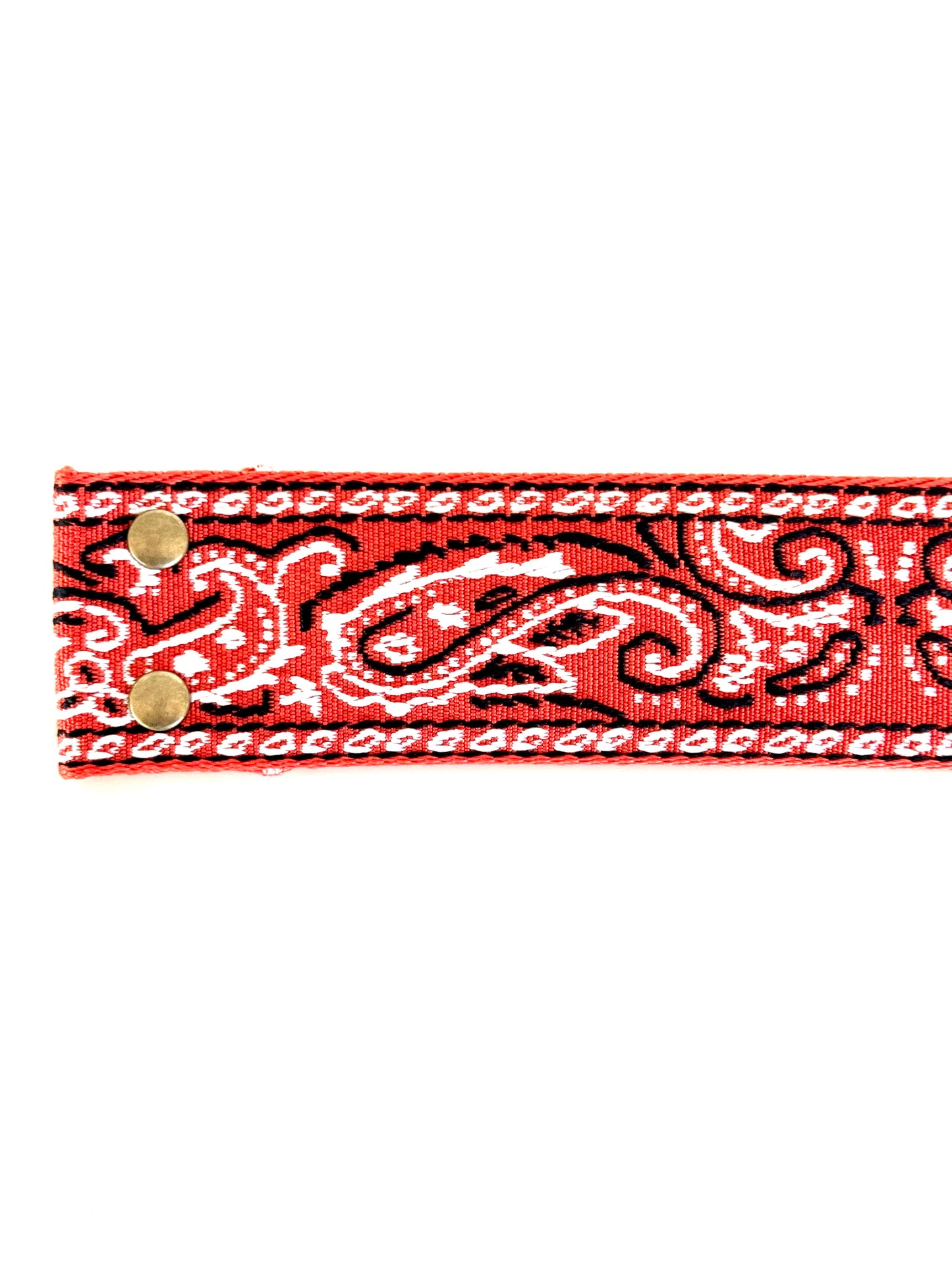 Paisley Please Belt Strap | Orange |